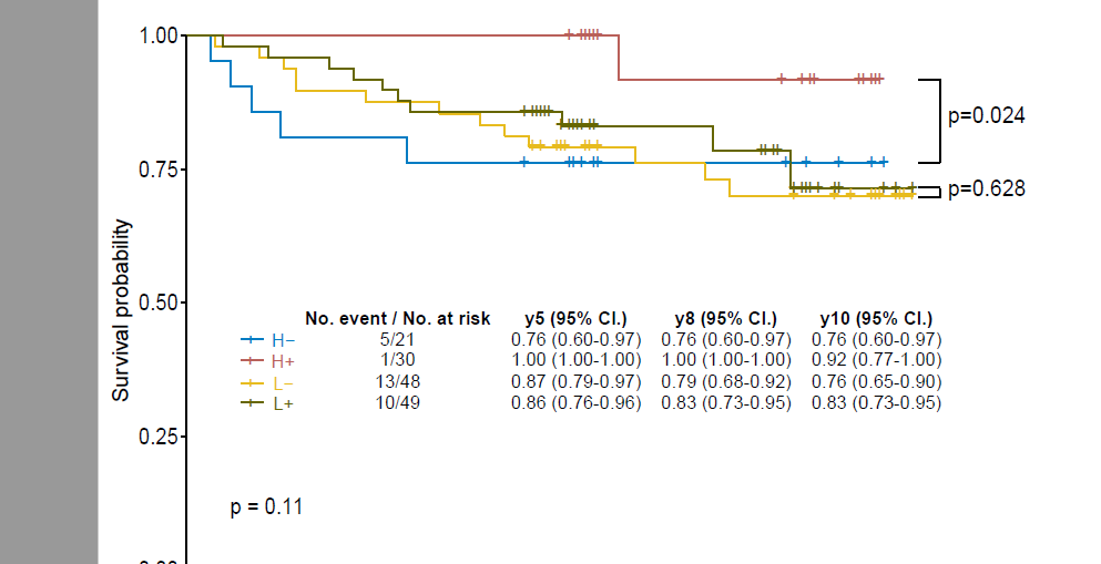 Kaplan Meier survival curve showing drug effectiveness